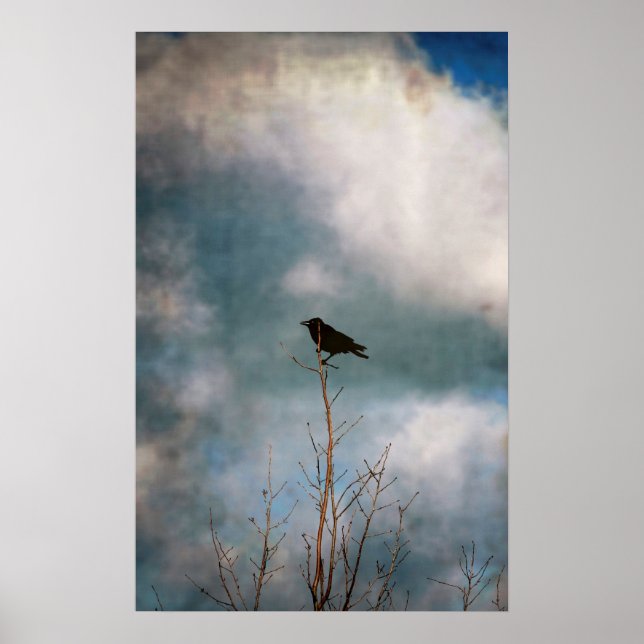 Vintages Foto einer Krähe auf einem Baum Poster (Vorne)
