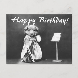 Vintages Foto Hund Violine Geburtstag Postkarte