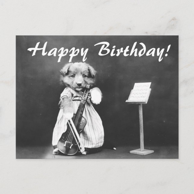 Vintages Foto Hund Violine Geburtstag Postkarte (Vorderseite)