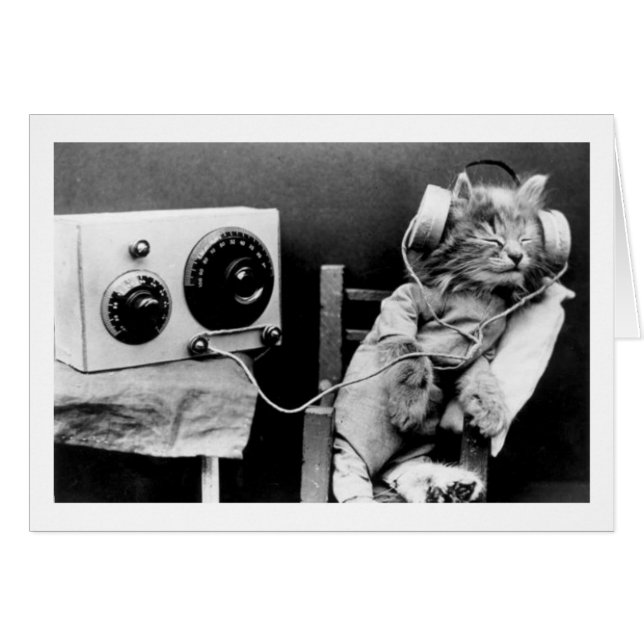 Vintages Foto - Katze, die Radio hört, (Vorderseite (Horizontal))