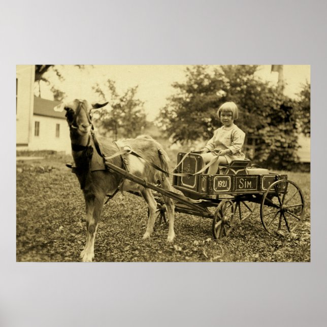 Vintages Foto - "Ziegenkarte" - drucken Poster (Vorne)