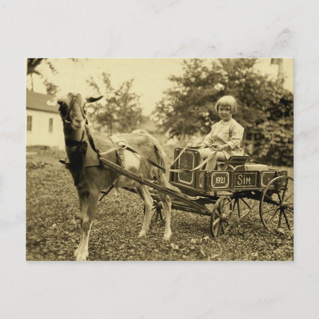 Vintages Foto - "Ziegenkarte" - Postkarte (Vorderseite)