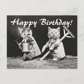 Vintages Foto Zwei Katzen Gärten Postkarte