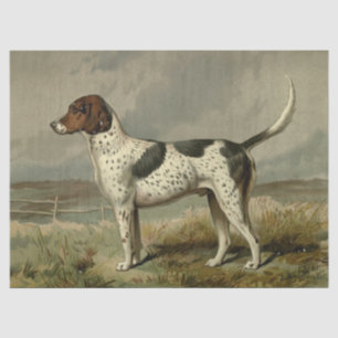Vintages Foxhound-Gewebe Seidenpapier