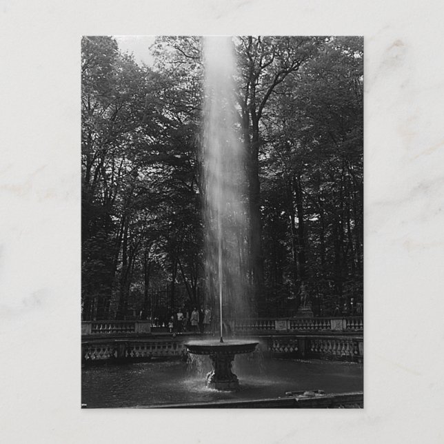 Vintages Frankreich Versailles Palazzo Domes Postkarte (Vorderseite)