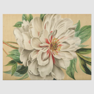 Vintages Französisch Floral Ephemere Decoupage Whi Seidenpapier