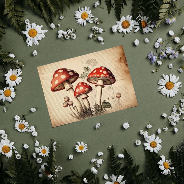 Vintages französisches Mushroom Page Decoupage Seidenpapier (Von Creator hochgeladen)
