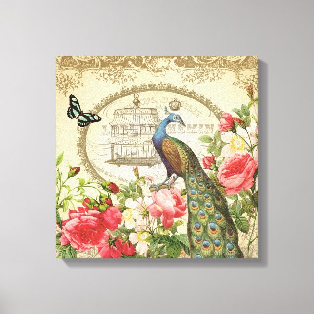 Vintages französisches Shabby Chic Peacock Leinwanddruck (Vorderseite)