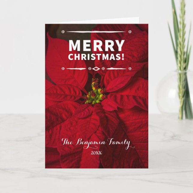 Vintages Frohe Weihnachten Rote Poinsettias Foto (Vorderseite)