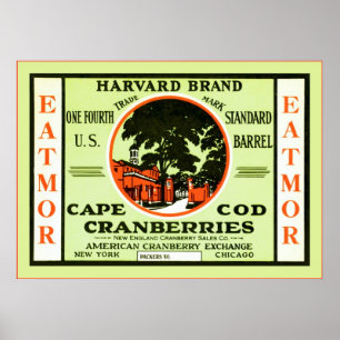 Vintages Fruchtkäfigetikett Poster
