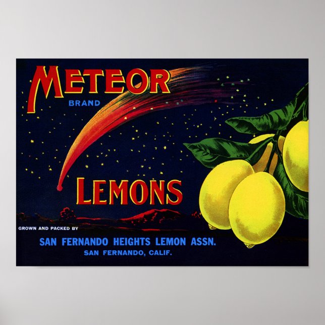 Vintages Fruchtkorb-Etikett Poster (Vorne)