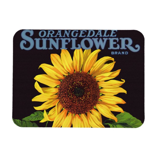 Vintages Fruchtkorb Magnet (Horizontal)