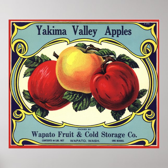 Vintages Fruchtkorb Poster (Vorne)