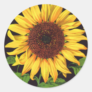 Vintages Fruchtkorb Runder Aufkleber