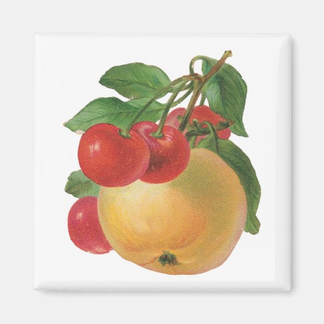 Vintages Fruchtmagnet Magnet (Vorne)