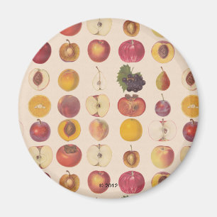 Vintages Fruchtmuster Magnet