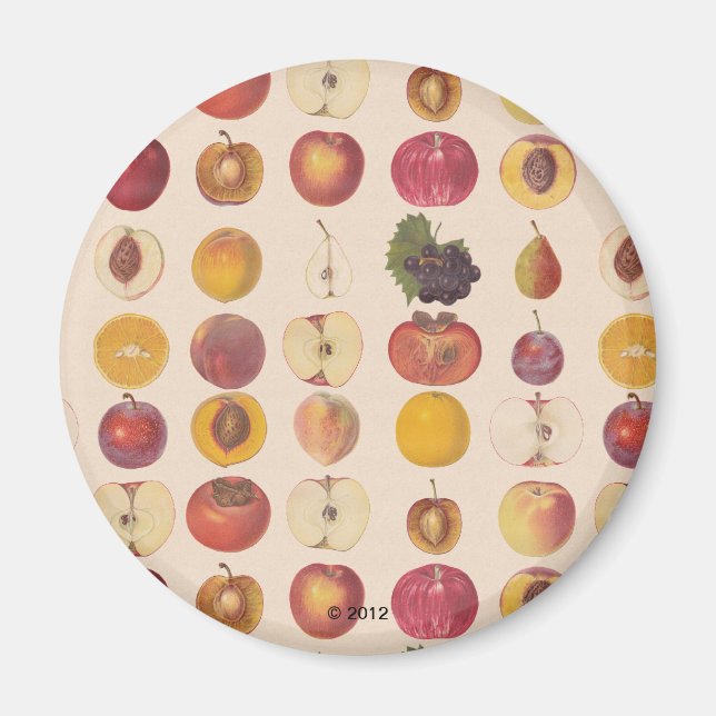 Vintages Fruchtmuster Magnet (Vorne)