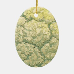 Vintages Gemüse Gemüse Veggies Blumenkohl Keramikornament