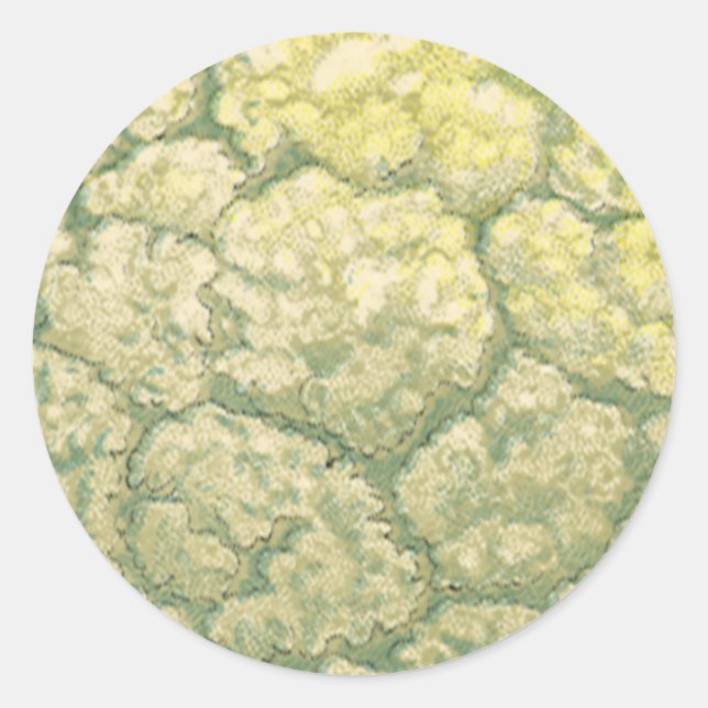 Vintages Gemüse Gemüse Veggies Blumenkohl Runder Aufkleber (Vorderseite)