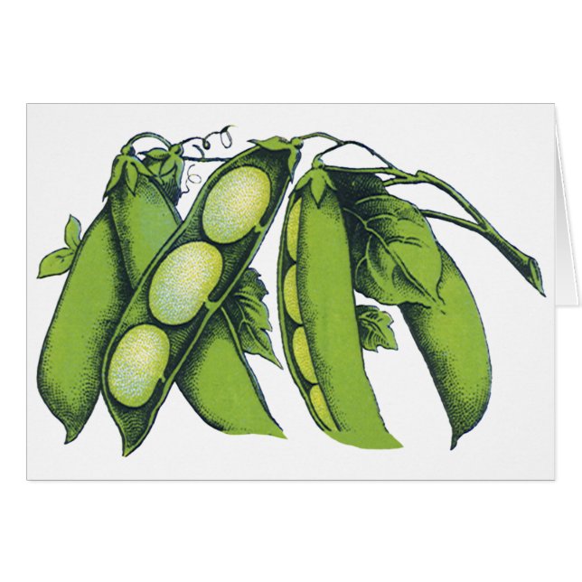 Vintages Gemüse; Limabohnen, Bio landwirtschaftlic (Vorderseite (Horizontal))
