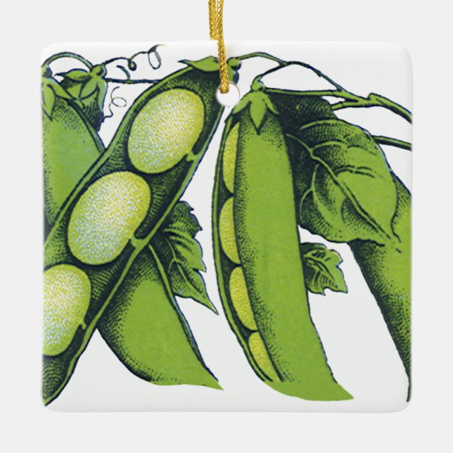 Vintages Gemüse; Limabohnen, Bio landwirtschaftlic Keramikornament (Vorderseite)