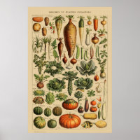 Vintages Gemüseposter Botanischer Schrift