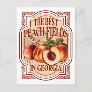 Vintages Georgia Peach Fields Postkarte