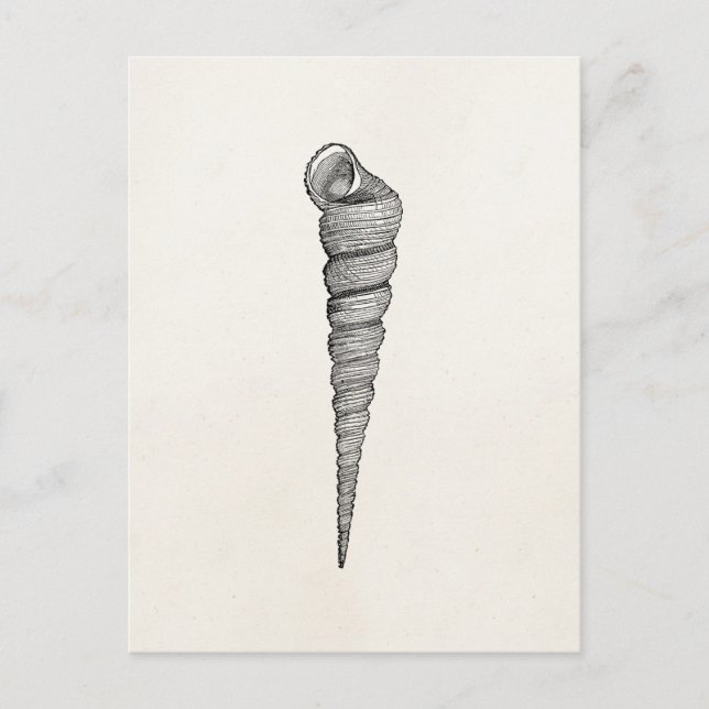 Vintages gewundenes postkarte (Vorderseite)