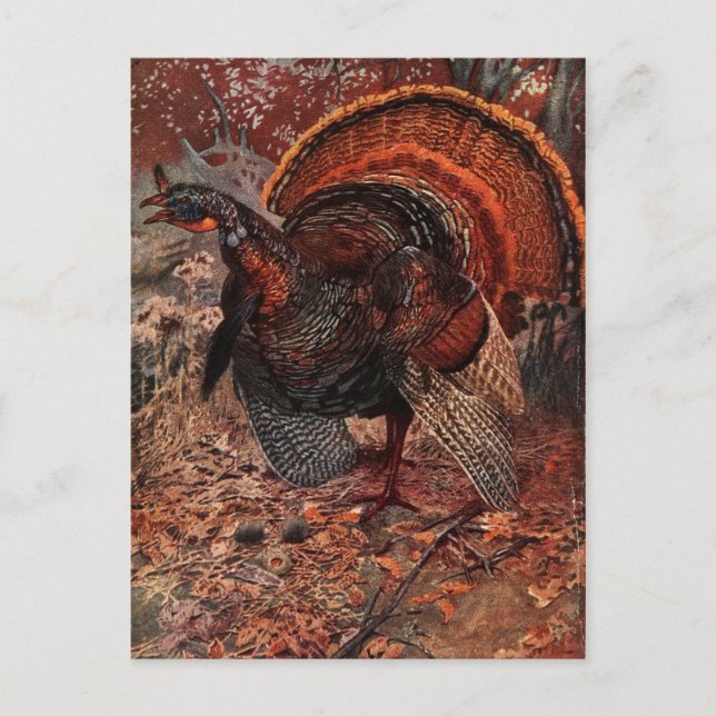 Vintages Glück Thanksgiving Türkei Feiertagspostkarte (Vorderseite)