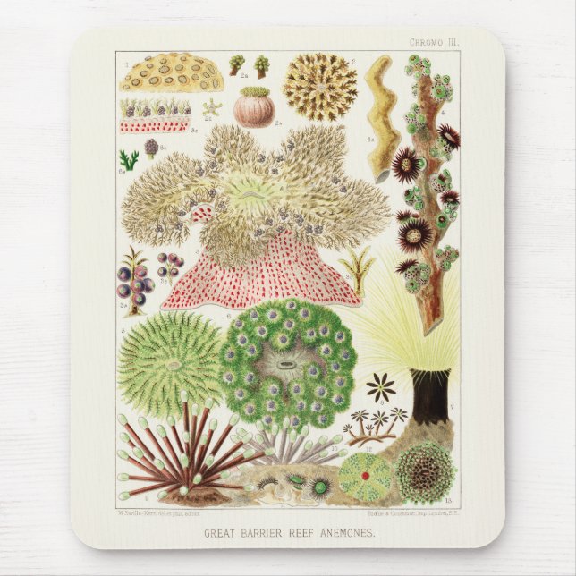 Vintages Great Barrier Reef of Australia Anemones Mousepad (Vorne)