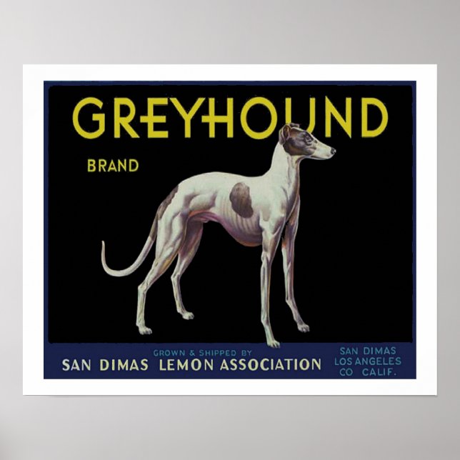 Vintages Greyhound Lemon Label Circa 1920 Poster (Vorne)