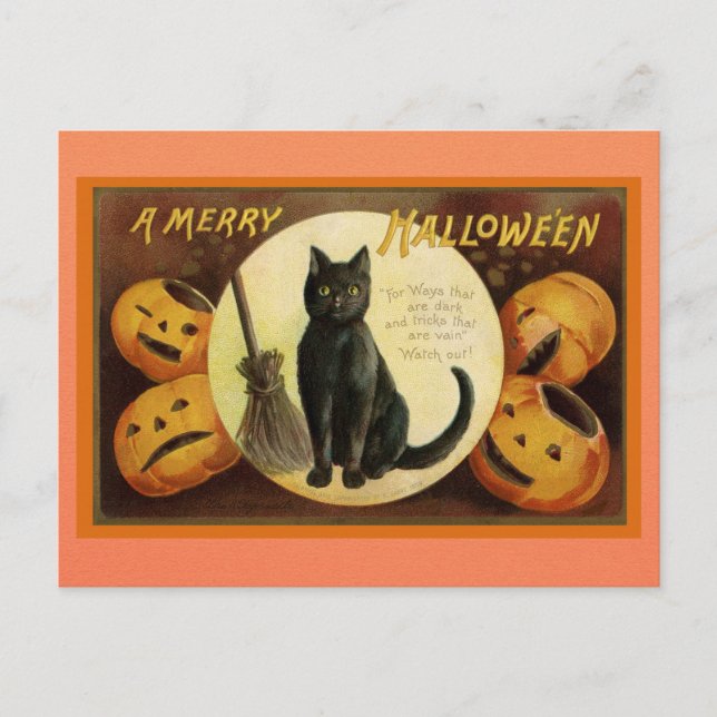 Vintages Halloween Black Cat Pumpkin Viktorianisch Postkarte (Vorderseite)