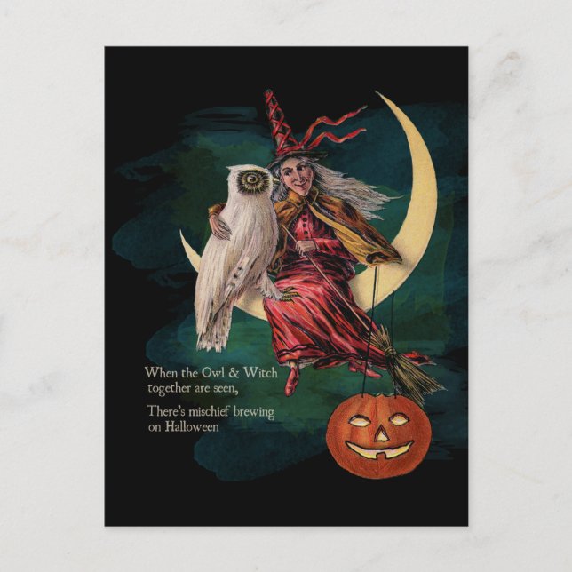 Vintages Halloween-Owl und Hexenkarte Postkarte (Vorderseite)