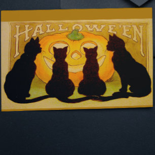 Vintages Halloween Schwarze Katzen und Jack O'Lant Postkarte