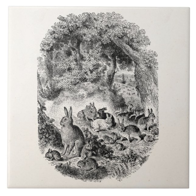 Vintages Häschen-Kaninchen 1800s Häschen-Kaninchen Fliese (Vorderseite)
