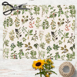 Vintages Herbarium Grünes Pflanze Muster Seidenpapier