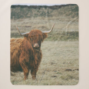 Vintages HIGHLAND CATTLE COW FOTO Sherpadecke