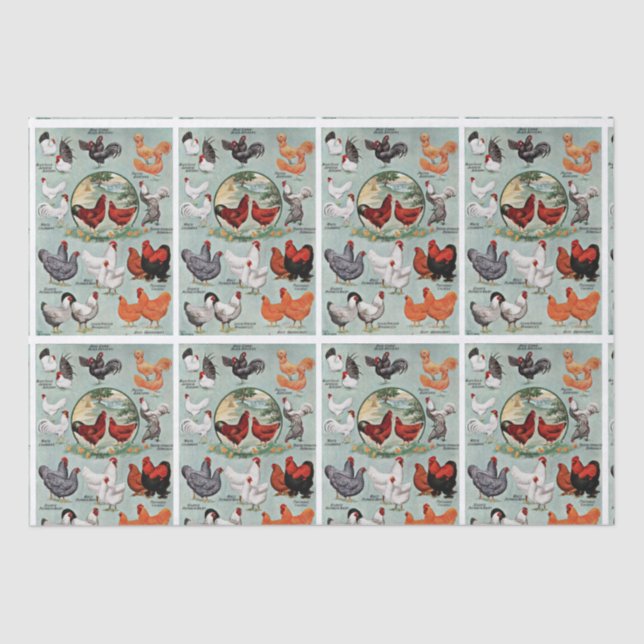 Vintages Hühnerzuchtmuster  Seidenpapier (Vorderseite)