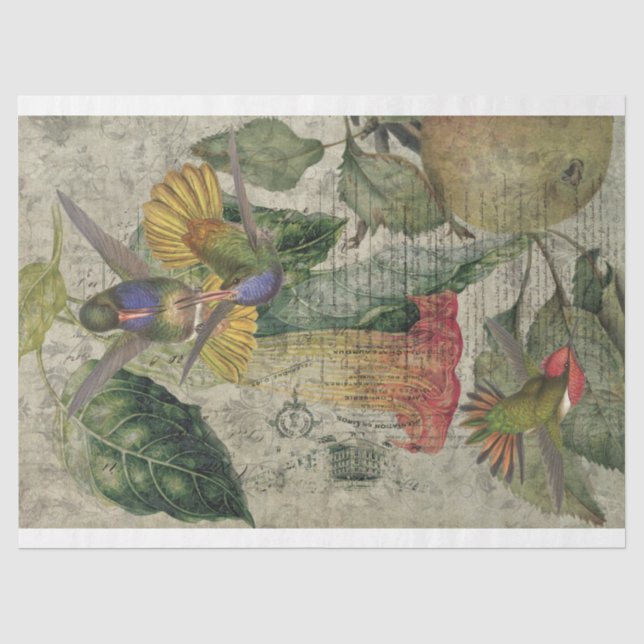 Vintages Hummingbird Collage Tissue Seidenpapier (Vorderseite)