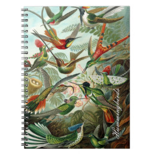 Vintages Hummingbird-Notebook Notizblock