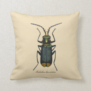 Vintages Insekten-Entomologiereversible-Polyester Kissen
