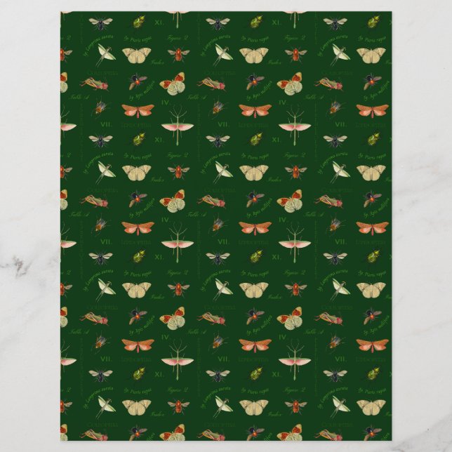 Vintages Insektenschutzbuch, Forest Green (Vorderseite)