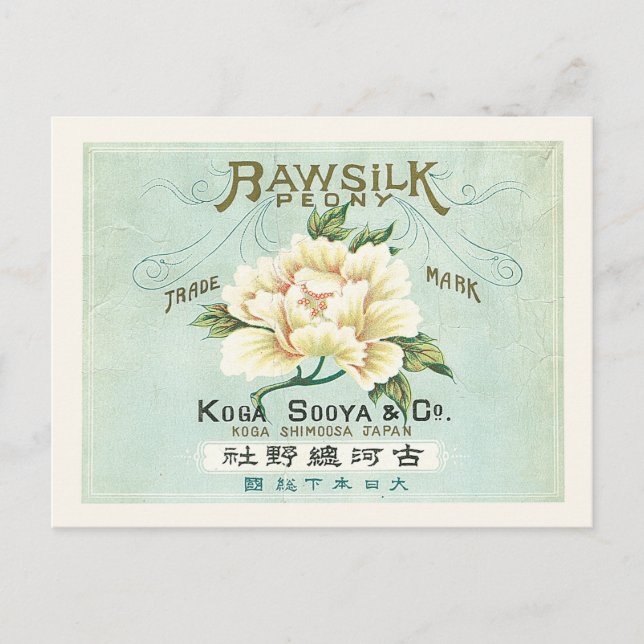 Vintages Japan Rohseide Weißer Peony Postkarte (Vorderseite)