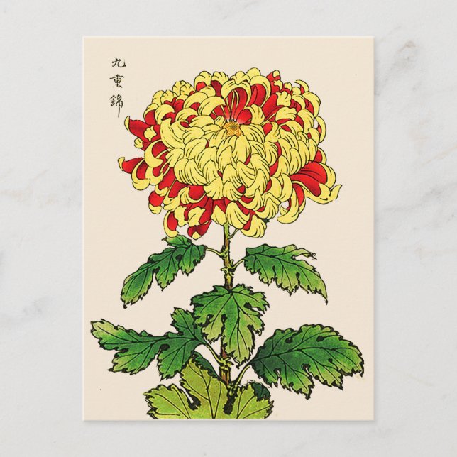 Vintages japanisches Chrysanthemum. Senfgelb Postkarte (Vorderseite)