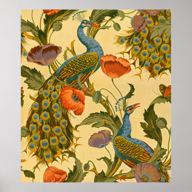 Vintages Jugendstil 1896 Das Pfauenmuster Poster (Vorne)