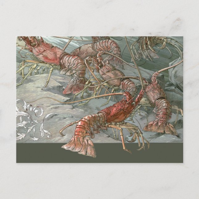 Vintages Jugendstil, Hummer im Ozean Postkarte (Vorderseite)