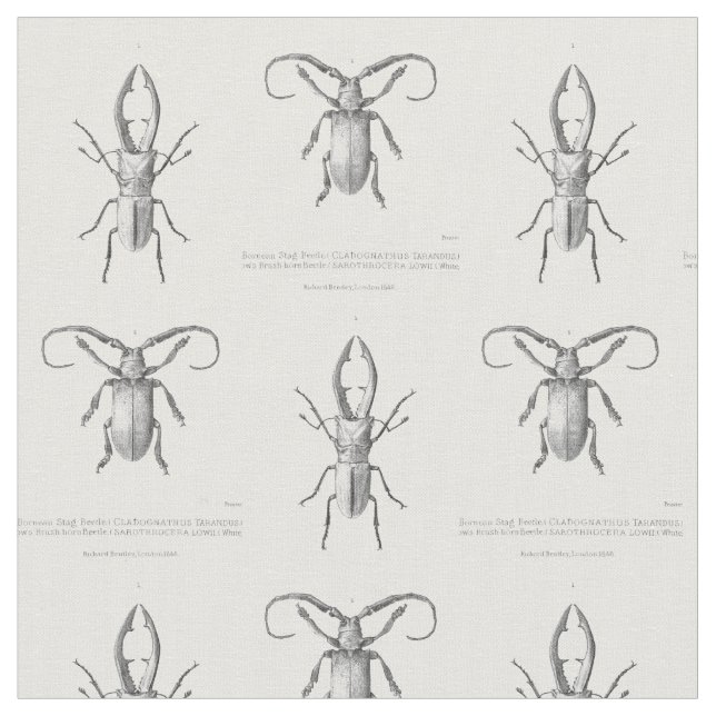 Vintages Käferillustrationsgewebe Stoff (Nahaufnahme)