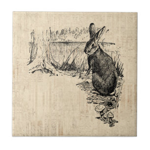 Vintages Kaninchen Illustriert Bunny Art Fliese