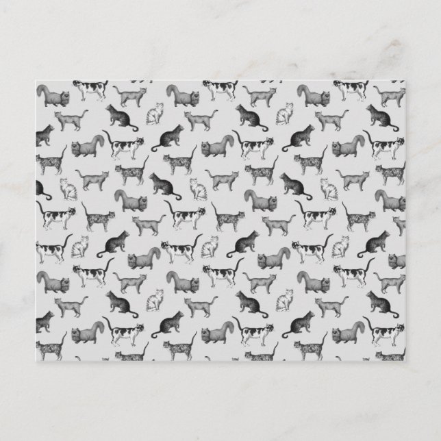 Vintages Katzen Muster Postkarte (Vorderseite)