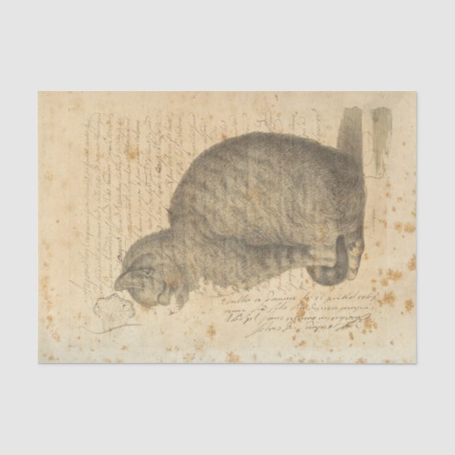 Vintages Katzen-Seidenpapier Seidenpapier (Vorderseite)